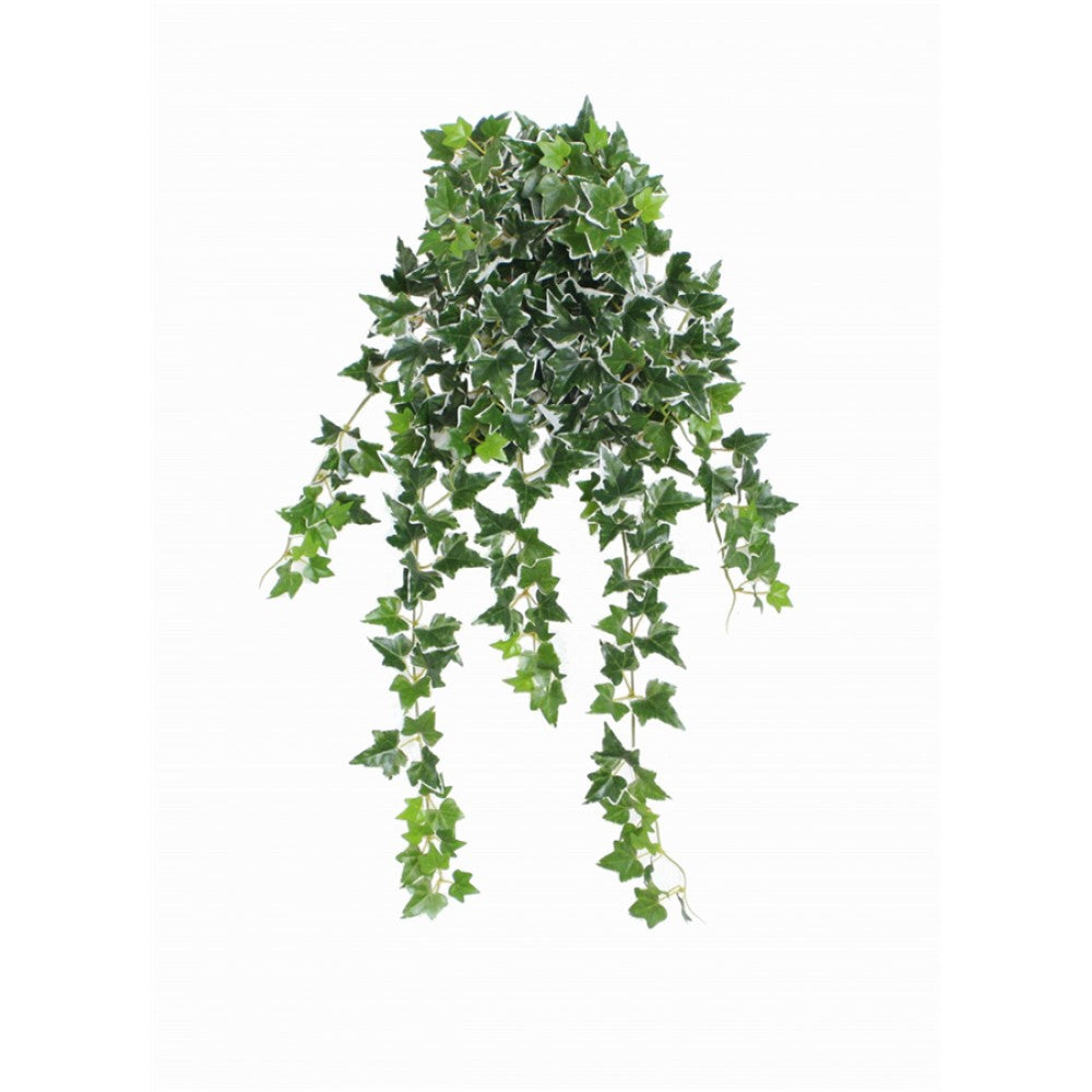 60cm Hanging English Ivy FLW181C