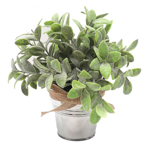 Greenery in Tin Pot FLW182A