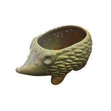 2/A CERAMIC HEDGEHOG POT TPA026