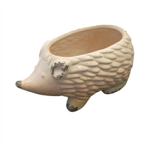 2/A CERAMIC HEDGEHOG POT TPA026