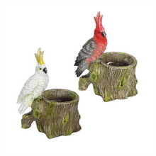 2/A Parrot Pot PR055