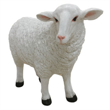 Fiber Glass Extra Large Garden Sheep PSXL03