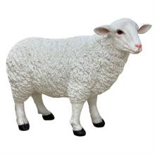 Fiber Glass Extra Large Garden Sheep PSXL03