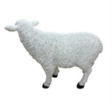 Fiber Glass Extra Large Garden Sheep PSXL03