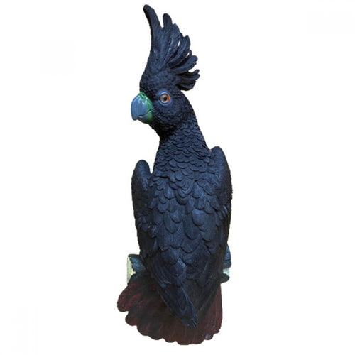 Parrots wall plaque- Black PS973B