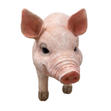 Resin Pink Pig PSXL07B