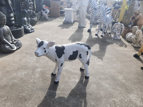 Standing Baby Calf