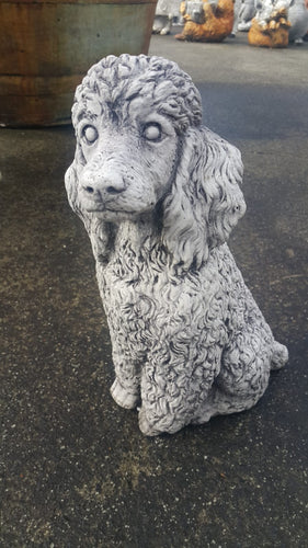 Standing Poodle Dog