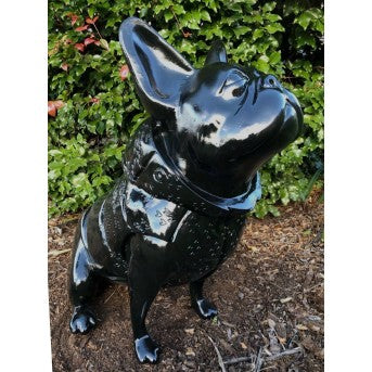 Glossy Black French Bulldog (71cm)