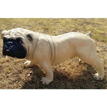 Dog Pug Statue (70cm)