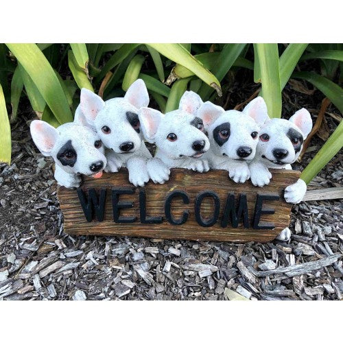 30cm Five Bull Terrier with Welcome