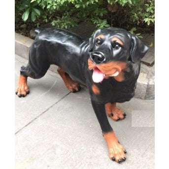 Rottweiler Dog (114cm)